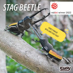 Eugy Stag Beetle