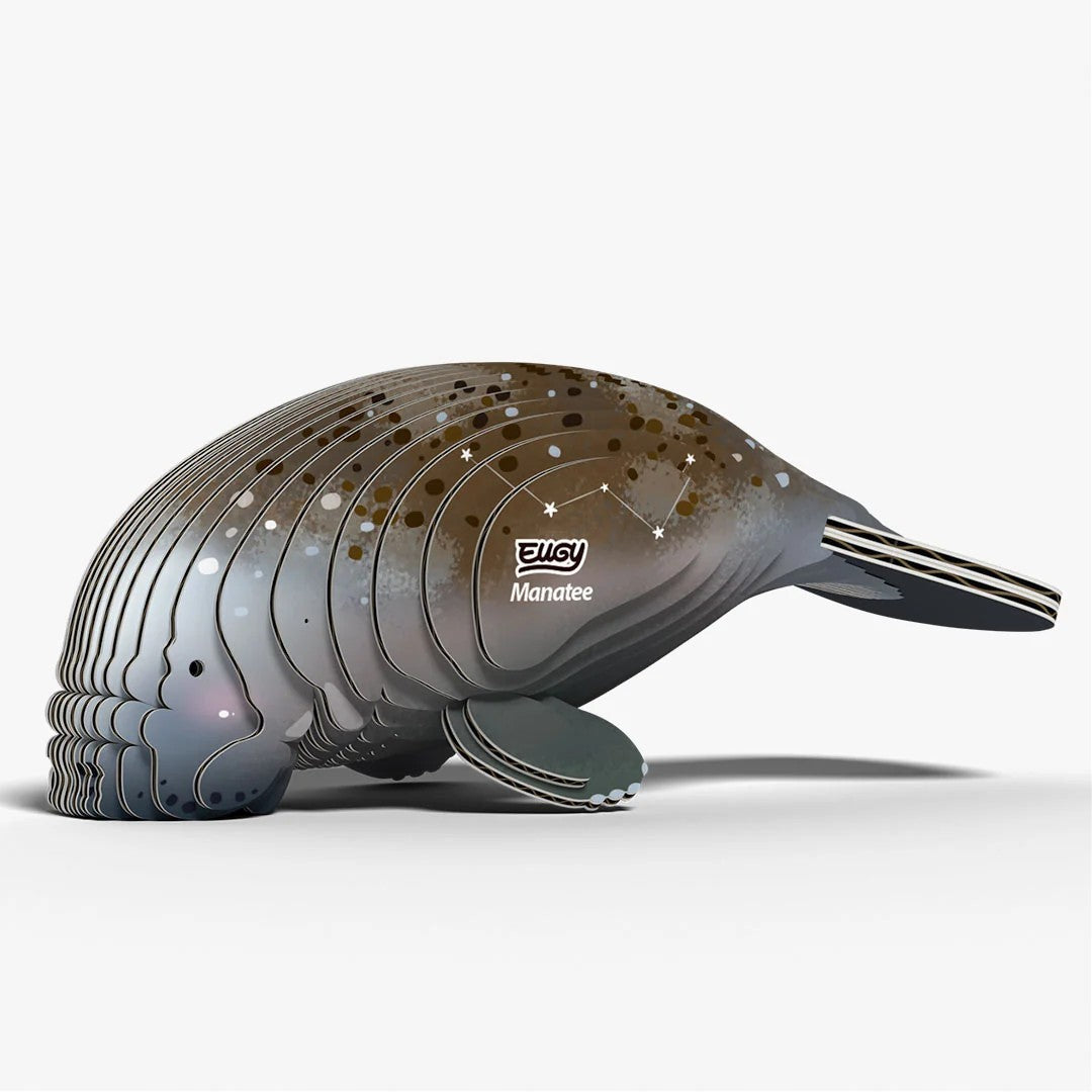 Eugy Manatee 3d Puzzle