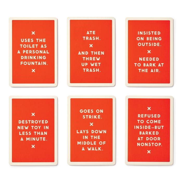 Because This Dog Is Embarrassing- Pet Shame/praise Deck (cards)