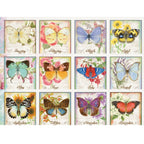 Butterflies Calendar