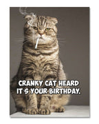 Card - Cranky Cat