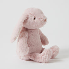 Load image into Gallery viewer, Cuddle Time Bunny
