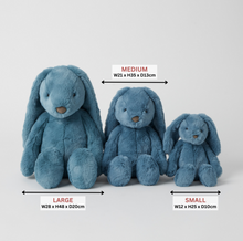 Load image into Gallery viewer, Blue Bunny Large

