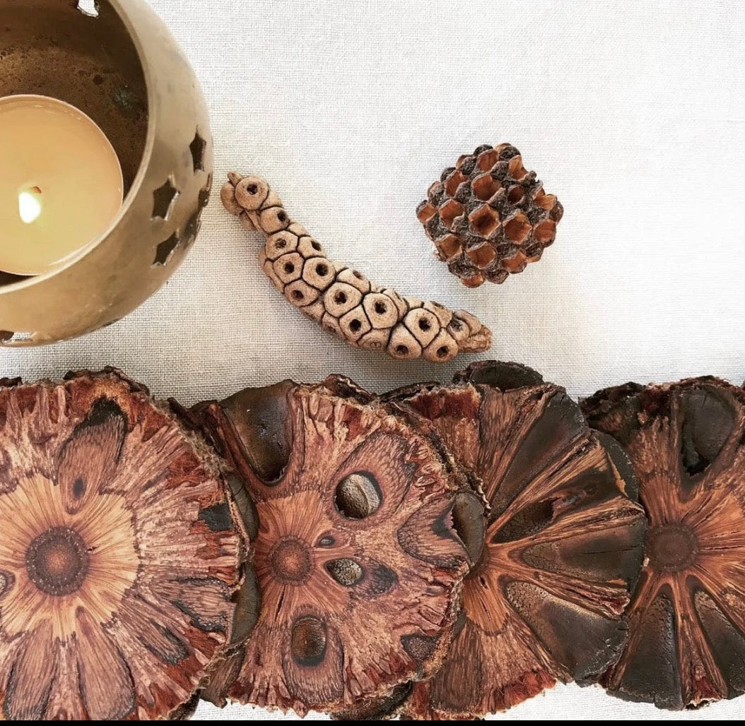 Banksia Pod Single Coaster