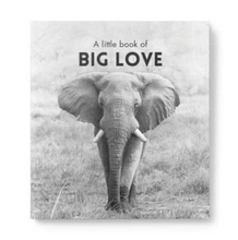 Load image into Gallery viewer, A Little Book Of Big Love

