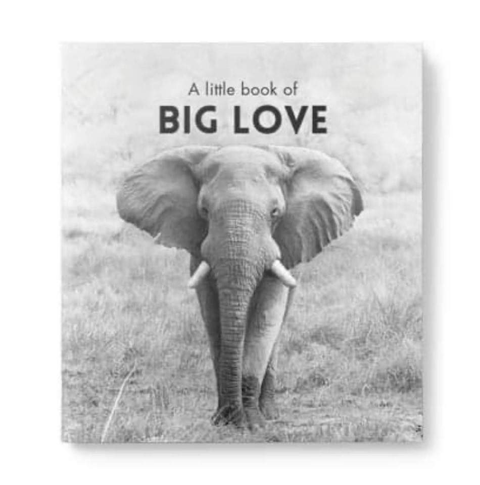 A Little Book Of Big Love
