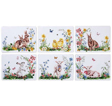 Load image into Gallery viewer, Morning Meadows Placemats S/6
