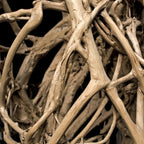 Essential Oil - Sandalwood