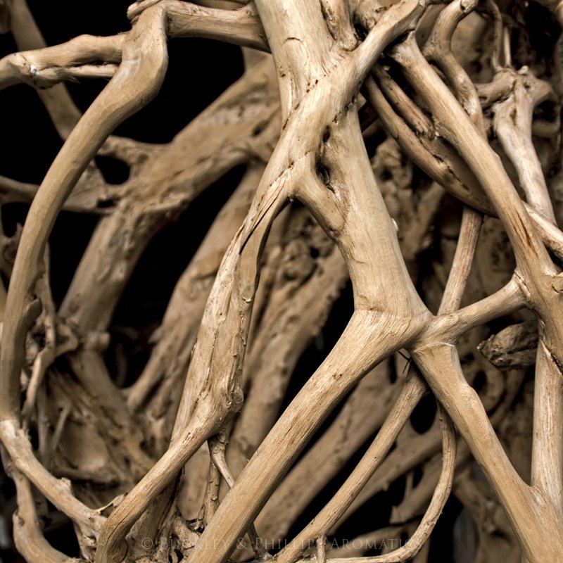 Essential Oil - Sandalwood