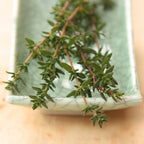 Essential Oil - Thyme (wild)