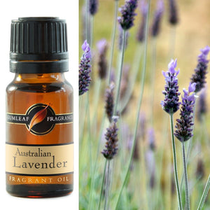 Gumleaf Fragrance Oil - Australian Lavender