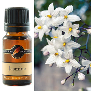 Gumleaf Fragrance Oil - Jasmine