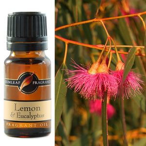 Gumleaf Fragrance Oil - Lemon & Eucalyptus