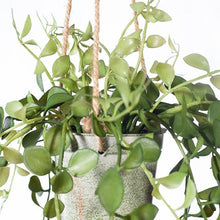 Load image into Gallery viewer, Fern Button Green Hanging In Pot - 41cm
