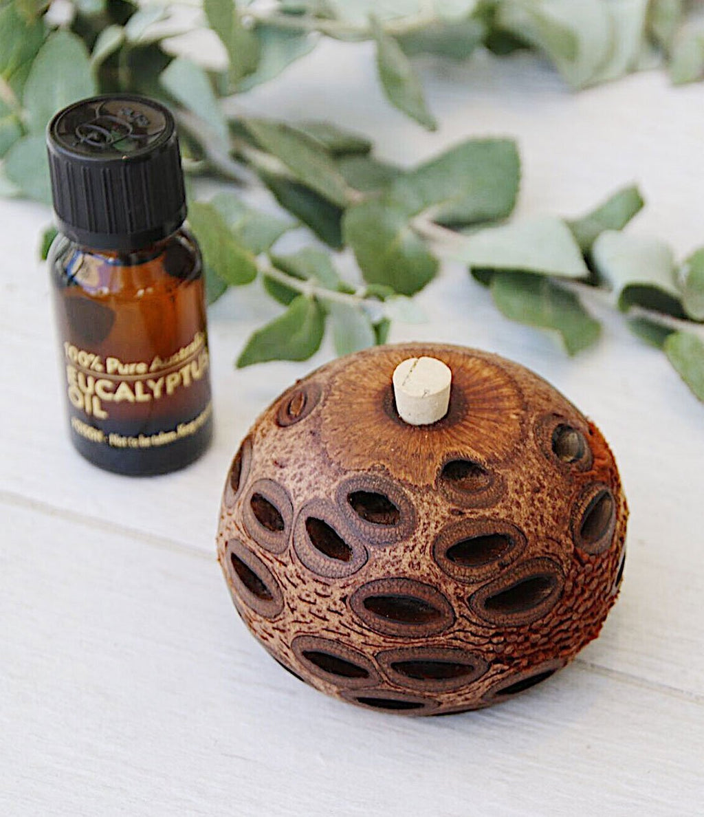 Banksia Pod Aroma Mimi & Eucalyptus Oil
