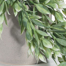 Load image into Gallery viewer, Ruscus Green &amp; White Hanging Bush In Pot - 73cm
