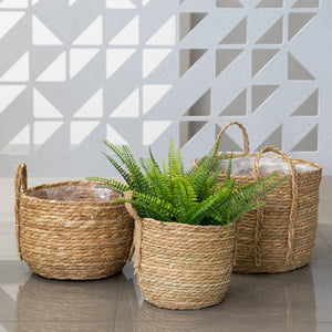 Rhea Set of 3 Seagrass Baskets with Handles