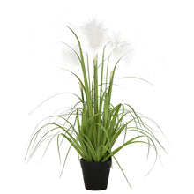 Load image into Gallery viewer, Reed Grass Plastic Pot
