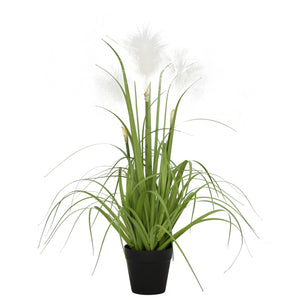 Reed Grass Plastic Pot 21"