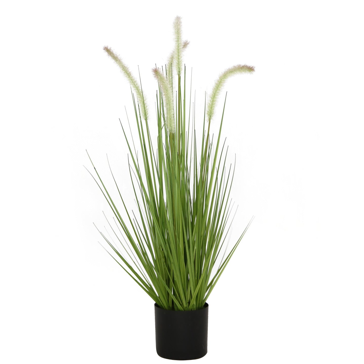 Dogtail Grass Plastic Pot 27"