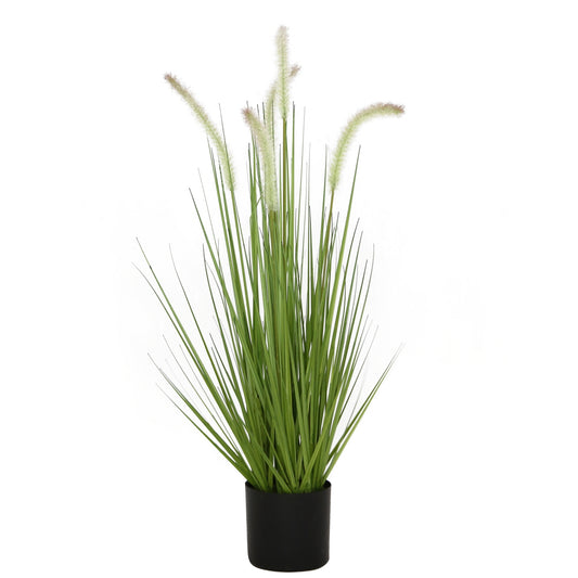 Dogtail Grass Plastic Pot 27"