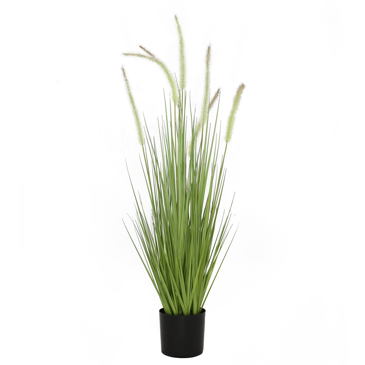 Dogtail Grass Plastic Pot 36"