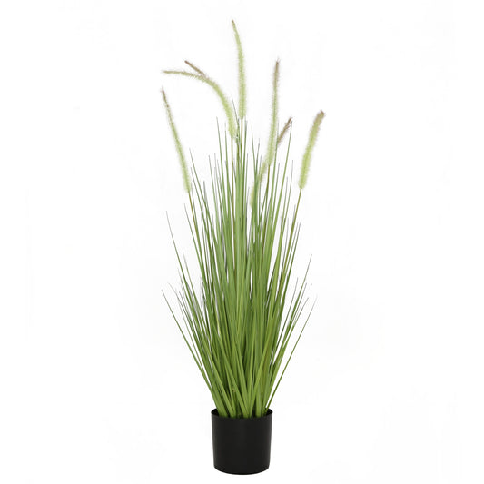Dogtail Grass Plastic Pot 36"