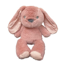 Load image into Gallery viewer, Bunny Teddy - Blush
