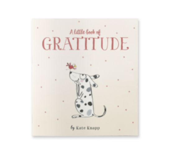 A Little Book Of Gratitude (twigseed)