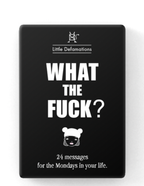 Little Defamations-what The F - 24pk Cards