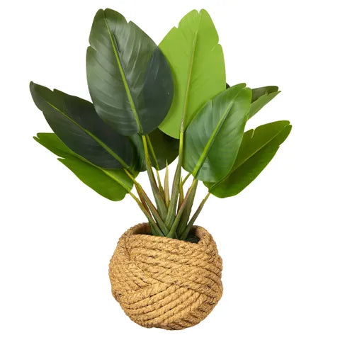 Banana Tree Real Touch 40cm Pot