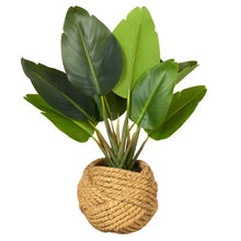 Load image into Gallery viewer, Banana Tree Real Touch 40cm Pot
