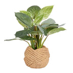 Rohdea Tree Real Touch