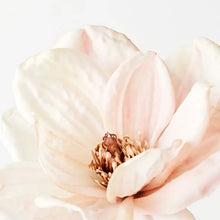 Load image into Gallery viewer, Magnolia - Cream
