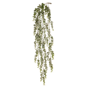 Eucalyptus Grey & Green Hanging Bush - 74cm