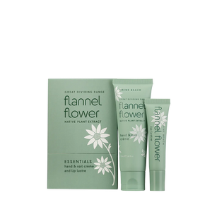 Flannel Flower Essential Pack