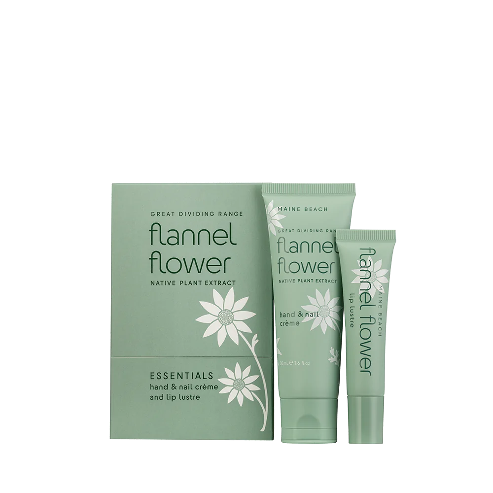 Flannel Flower Essential Pack