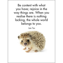 Load image into Gallery viewer, Little Treasures Affirmations
